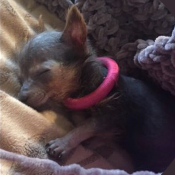 Meet your Posher, Vickie Jean - Picture 5 of 8